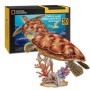 CUBICFUN - PUZZLE 3D TESTOASA MARINA 31 PIESE Cubic Fun - 6
